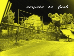 CAJT - SOYALE TO FISH