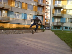 Varial flip