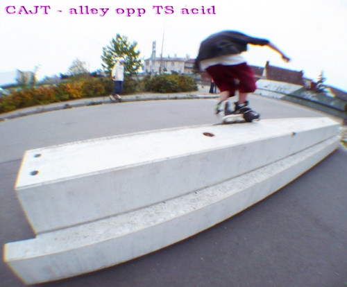 CAJT - Alley Opp TS Acid