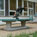 ZACH - nkej cess slide